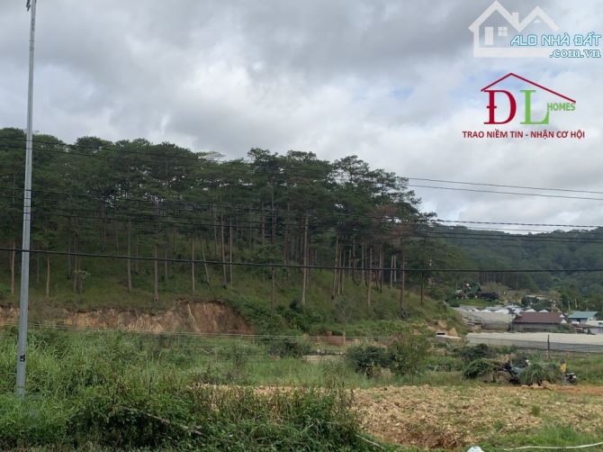 🏞⛺️🏡 9.472M2 ĐẤT PHƯỜNG 10 ĐÀ LẠT - GIÁ CHỈ 9 TỶ - VIEW RỪNG THÔNG NGUYÊN SINH CỰC ĐẸP