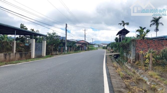 5.5 sào 300m thổ cư 45m mặt tiền Bảo Lộc. - 1