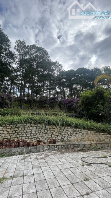 Đất Mê Linh ven Đà Lạt 560m2 cần bán gấp, view đồi thông - 1