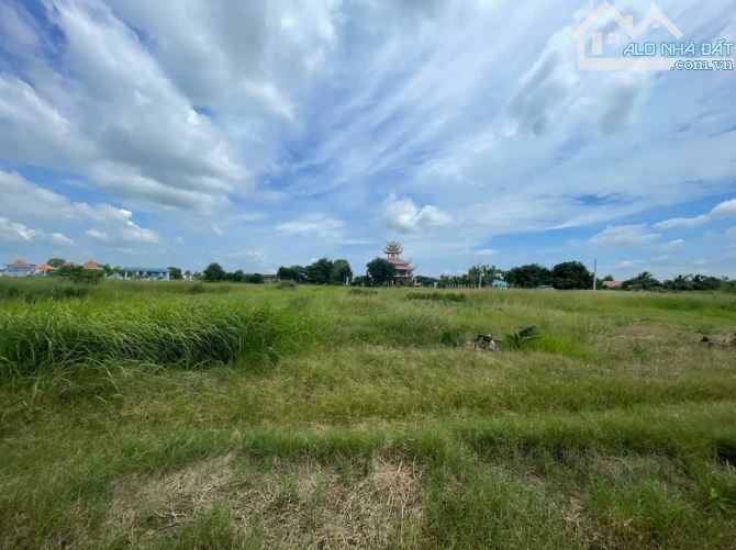 Chủ gửi bán 333m2 thổ cư đường xe hơi khu đông dân cư gần quốc lộ 50 giá tốt, SHR - 2