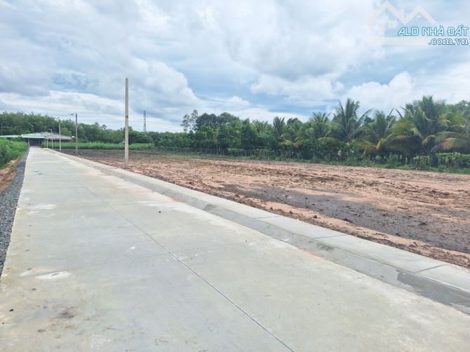 170m2 có thổ cư. Đường bê tông. Kế bên nhựa 784. 560tr 🥰 Còn vài lô đất liền kề 5x34 có 5 - 2