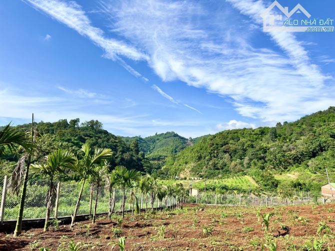 🔥🔥Siêu phẩm đất sào, đất view với 222m mặt tiền đường đá cấp phối, 3 mặt tiền đường bao - 4