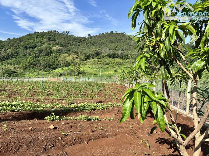 🔥🔥Siêu phẩm đất sào, đất view với 222m mặt tiền đường đá cấp phối, 3 mặt tiền đường bao - 7