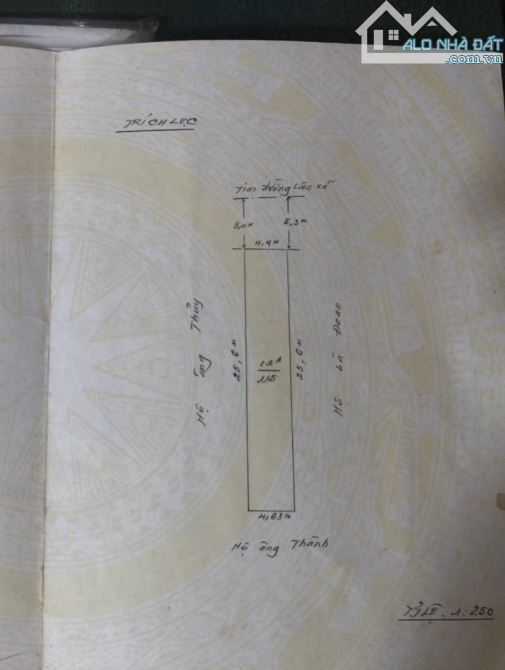 Mặt đường Chợ Hàng Mới. Diện tích: 115m. Ngang 4,5m. Giá 11.2 tỷ.