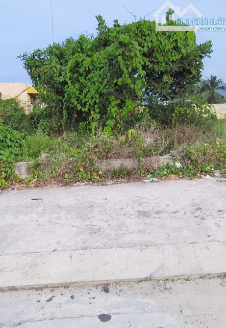 "Bán đất thổ cư đường 13 mét Diên Toàn, Diên Khánh.  Khu dân cư đông đúc gần 2,1t - 1