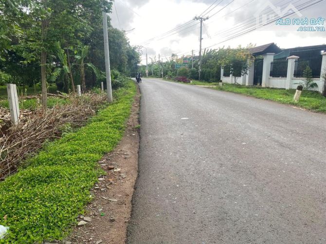 CÔ CHÚ LỚN TUỔI BÁN NHÀ VƯỜN 6236M2+NHÀ CẤP 4+ VƯỜN CÂY ĂN TRÁI KHU DÂN CƯ CHỈ 2TY5 - 1