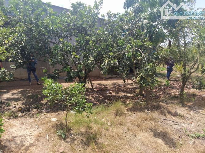 Bán 1037m2 đất  vườn gần hồ Trị An, Đồng Nai. Bề ngang 47m. Sang tên trong ngày - 1