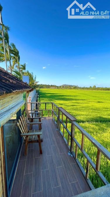 Bán khu nghĩ dưỡng Ea Pok Garden tại Cư Mgar DakLak Homestay xịn nhất Tây Nguyên - 4