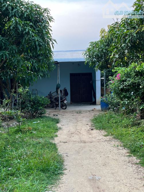 CÔ CHÚ LỚN TUỔI BÁN NHÀ VƯỜN 6236M2+NHÀ CẤP 4+ VƯỜN CÂY ĂN TRÁI KHU DÂN CƯ CHỈ 2TY5 - 4
