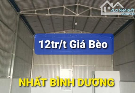 Nhà Cho thuê 8,1 x 25 = 12tr/t Vĩnh Tân Tân Uyên Bình Dương - 4