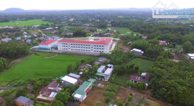 BÁN NỀN ĐẤT THỔ CƯ KẾ BÊN TRƯỜNG TIỂU HỌC KIM ĐỒNG 5MX50M DÂN CƯ ĐÔNG ĐÚC CHỈ 830 TRIỆU - 1
