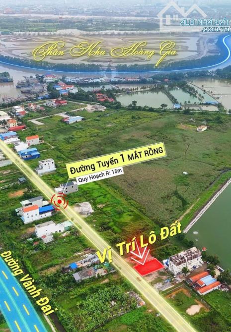 🌹🌹CỰC XỐC XUẤT HIỆN 1 LÔ MẮT RỒNG LẬP LỄ CẠNH ANH VINHOMES YOYAL LSLAND - 1