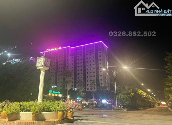 Cho thuê căn hộ 3PN 66m2 chung cư ECO GARDEN view thành phố - 2