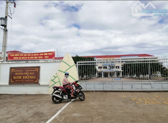 BÁN NỀN ĐẤT THỔ CƯ KẾ BÊN TRƯỜNG TIỂU HỌC KIM ĐỒNG 5MX50M DÂN CƯ ĐÔNG ĐÚC CHỈ 830 TRIỆU - 2