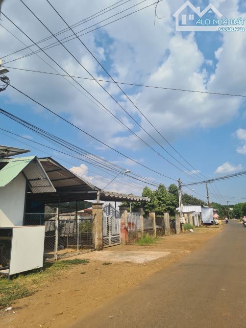 Cần bán  2 lô đất 500m2 mặt tiền đượng nhựa lớn gần ngã tư Dầu Giây. Có  180m2 QH thổ cư. - 2