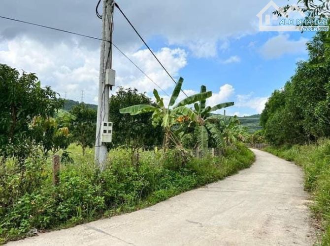Bán nhanh lô đất đẹp 2000m², Diên thọ Diên Khánh, lô góc, giá 2ty8, gần quốc lộ và cao tốc - 4