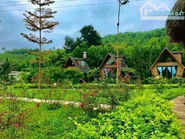 Bán resort mini tại kim bôi , hòa bình.cái nôi của du lịch và là viên ngọc của tỉnh HB - 4