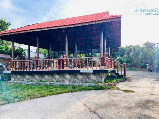 A Quang cần bán nhà vườn 642m2-200tc giá chỉ 4ty2 Tam PHước  Bán đất huyện Long Điền BRVT - 5