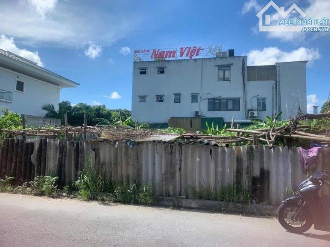 Bán lô thương mại dịch vụ mặt đường Trần Nguyên Đán, Thanh Bình, TP HD, 905m2, lô góc - 2