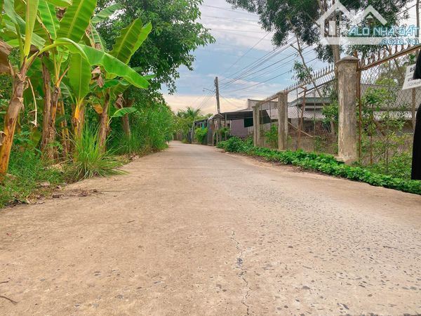 Bán vườn măng cụt 1000m2 thuộc Thường Thạnh - Cái Răng - TPCT