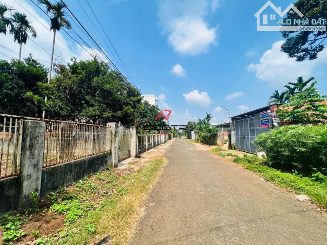 BÁN ĐẤT ĐƯỜNG 2B HÒA THUẬN SAU LƯNG CHỢ ĐẠT LÝ - 1