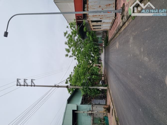 SIÊU RẺ, ĐẤT PHÂN LÔ ,  NAM HỒNG , ĐỒNG KỴ 2XXTR/1M ,DIỆN TÍCH HƠN 100M2 MTM 5M - 4