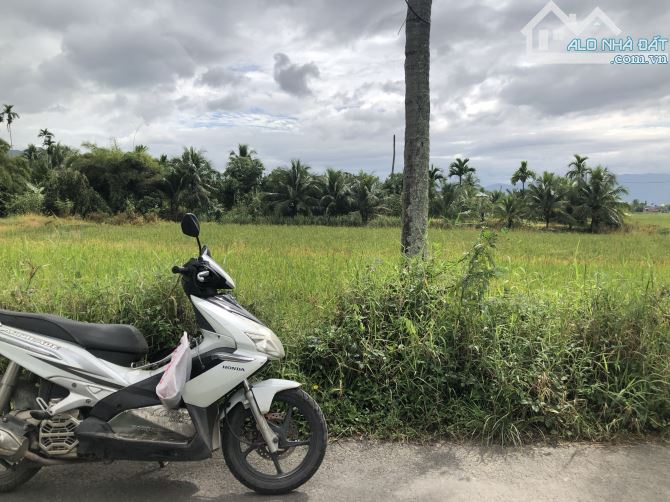 "Bán đất lúa quy hoạch Thổ Cư thôn Đại Điền Đồng, Diên Điền, Diên Khánh, Nằm sát bên khu d - 1