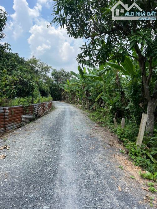 Lô Đất View Sông Búng, An Sơn, Thích Hợp Mở Nhà Hàng, Xây Biệt Thự Nghỉ Dưỡng - 2