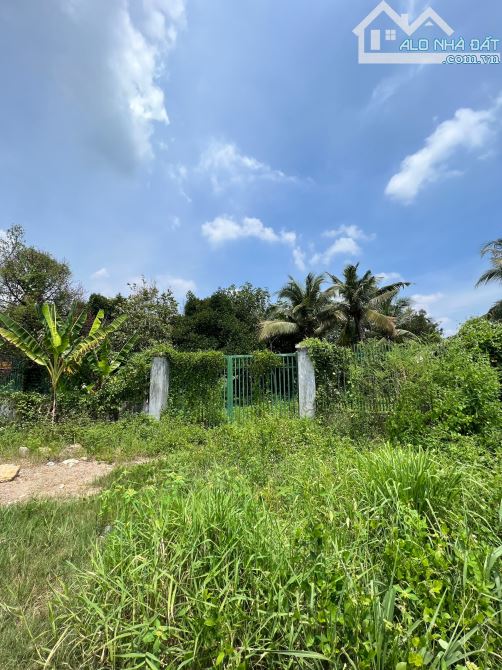 Lô Đất View Sông Búng, An Sơn, Thích Hợp Mở Nhà Hàng, Xây Biệt Thự Nghỉ Dưỡng - 3