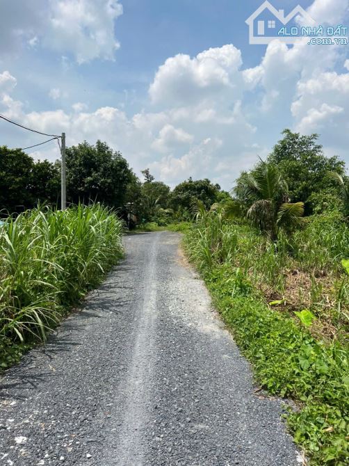 Lô Đất View Sông Búng, An Sơn, Thích Hợp Mở Nhà Hàng, Xây Biệt Thự Nghỉ Dưỡng - 4