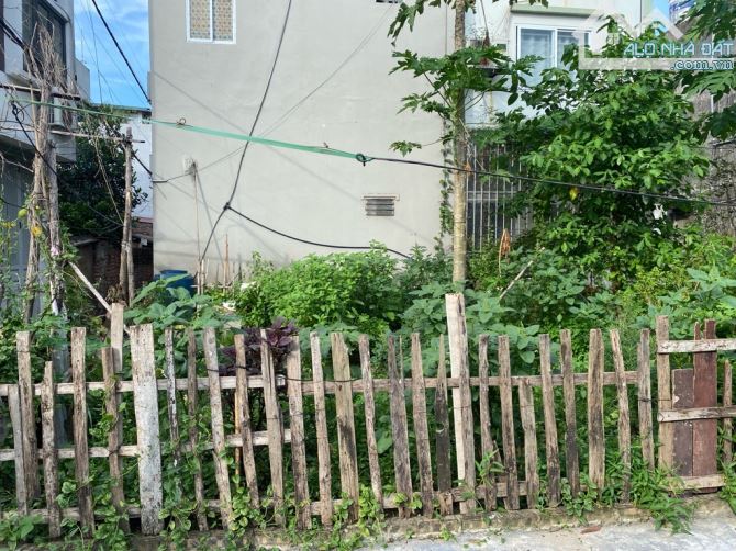 Đất Tiên Hùng-Nguyên Khê-Đông Anh-DT 230M²-MT 7,6M-Đường Thông Ô Tô 45 Chỗ - 1