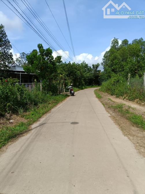 BÁN LÔ ĐẤT VƯỜN CÓ THỔ CƯ 1250M2(14MX74M) CÓ SẴN 100M2 THỔ CƯ GIÁ RẺ CHỈ 695 TRIỆU - 2