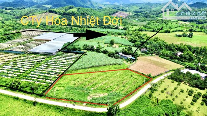 3000m Có 544m Đất Ở - Bám Đường Bê Tông 100m - Gần Hồ Đẹp - Cạnh CTy Hoa Nhiệt Đới