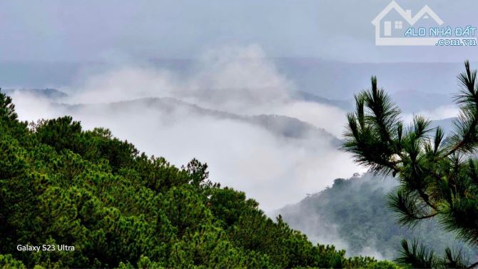 BÁN GẤP LÔ ĐẤT VIEW ĐẸP THUẬN TIỆN KINH DOANH NGHĨ DƯỠNG LƯU TRÚ DU LỊCH P11 ĐÀ LẠT - 1