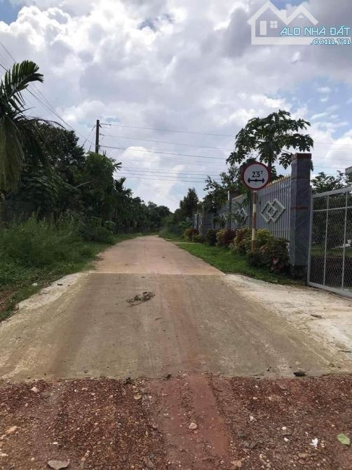 KẸT TIỀN BÁN LÔ ĐẤT GIÁ RẺ CHO CON ĐI HỌC DT : 4277M2(83MX50M) KHU DÂN CƯ CHỈ 1TY5 - 1