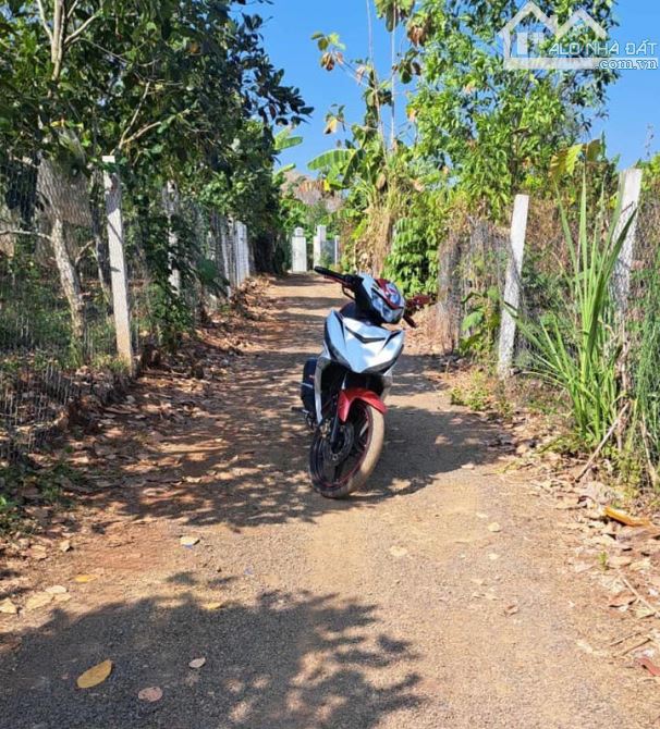 TÌM ĐÂU RA LÔ ĐẤT NỀN RẺ  5MX30M THỔ CƯ KHU DÂN CƯ NGỌC ĐỊNH 285 TRIỆU TRỌN SỔ - 1