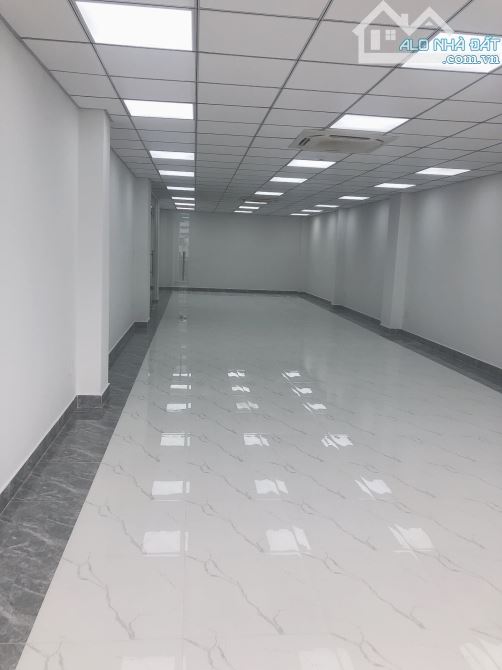 Văn Phòng Đ.Núi Thành, Tân Bình Giá Rẻ, 90m2- 100m2, Sàn Suốt Thoáng - 2