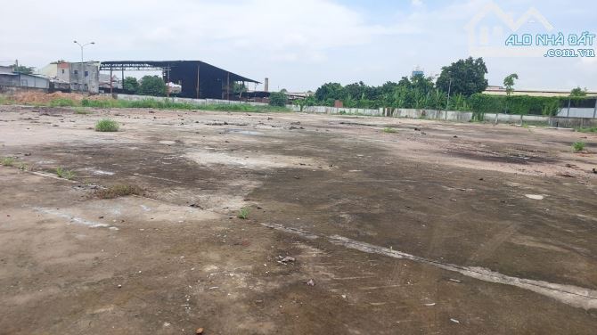 XT023 Cho thuê 10.000m2 đất SKC phường An hòa. Biên hòa. Đồng nai - 3