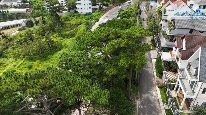 BÁN GẤP LÔ ĐẤT VIEW ĐẸP THUẬN TIỆN KINH DOANH NGHĨ DƯỠNG LƯU TRÚ DU LỊCH P11 ĐÀ LẠT - 3