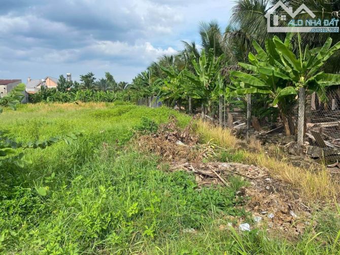 BÁN LÔ ĐẤT BIỆT NGAY KHU DÂN CƯ PHÚ NGỌC 671M2(10MX69M) ĐẤT THỔ CƯ CHỈ 1TY1 - 4