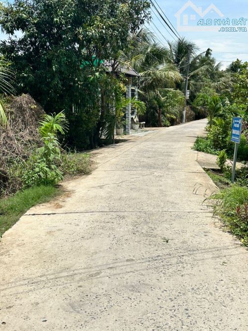 ĐẤT 1147M2 CÓ 300M2 THỔ CƯ, ĐƯỜNG XE TẢI 2.5TẤN, HỮU ĐỊNH CHÂU THÀNH, BẾN TRE - 4