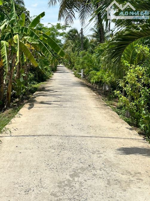 ĐẤT 1147M2 CÓ 300M2 THỔ CƯ, ĐƯỜNG XE TẢI 2.5TẤN, HỮU ĐỊNH CHÂU THÀNH, BẾN TRE - 5