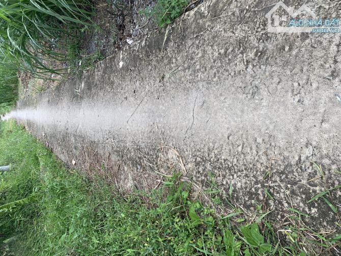 175m2 thổ giá 195tr đan trước đất gần chợ Bình Phục Nhứt,dân dông