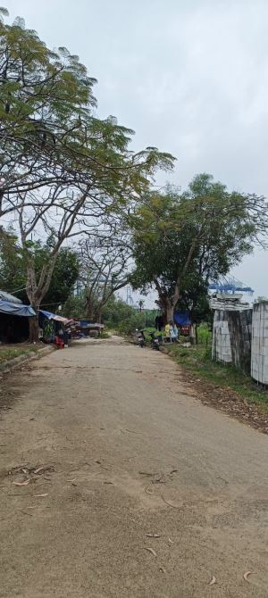 Cần bán 2600m2 đất tại phường Phú Hữu - 1