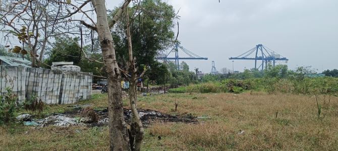 Cần bán 2600m2 đất tại phường Phú Hữu - 2
