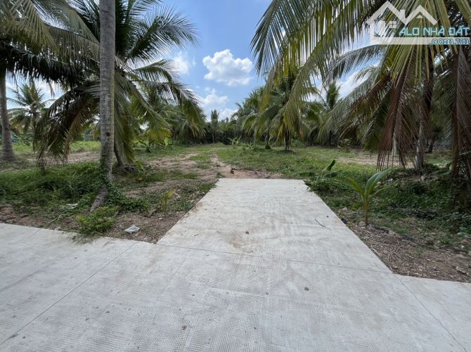 BÁN 1464M2 CLN HUY HOẠCH ĐẤT Ở, ĐƯỜNG 2.5 TẤN, AN PHƯỚC CHÂU THÀNH, BẾN TRE - 2