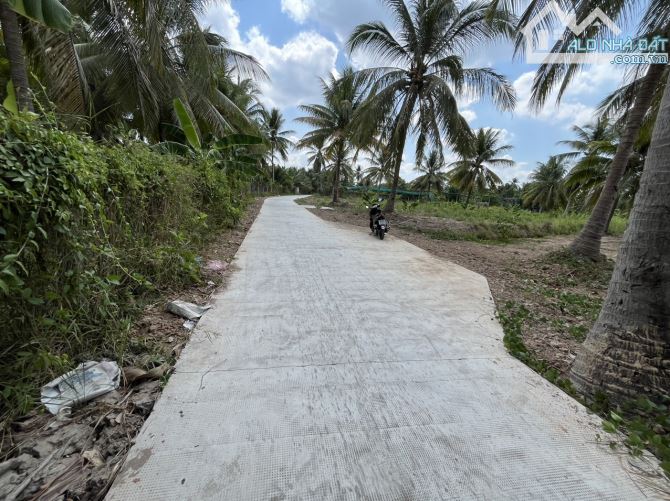 BÁN 1464M2 CLN HUY HOẠCH ĐẤT Ở, ĐƯỜNG 2.5 TẤN, AN PHƯỚC CHÂU THÀNH, BẾN TRE - 3