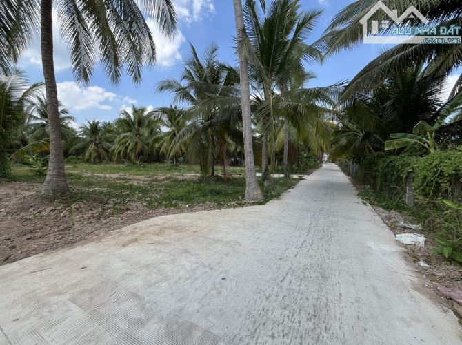 BÁN 1464M2 CLN HUY HOẠCH ĐẤT Ở, ĐƯỜNG 2.5 TẤN, AN PHƯỚC CHÂU THÀNH, BẾN TRE - 4