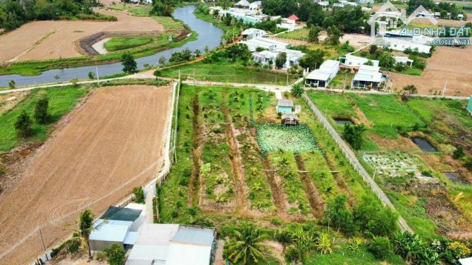 Chủ gửi bán 3452m2 đất thị trấn Cần Giuộc, mặt tiền đường nhựa, view gần sông, giá rẻ