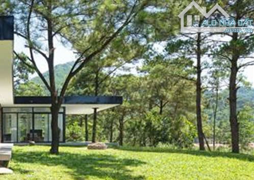 BÁN GẤP LÔ ĐẤT VIEW ĐẸP THUẬN TIỆN KINH DOANH NGHĨ DƯỠNG LƯU TRÚ DU LỊCH P11 ĐÀ LẠT - 4